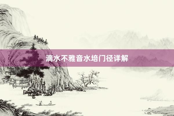 滴水不雅音水培门径详解