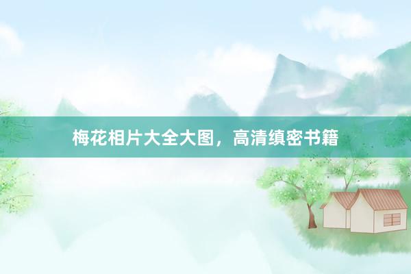 梅花相片大全大图，高清缜密书籍