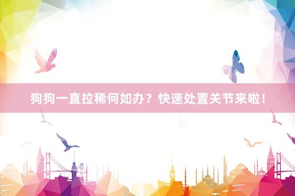 狗狗一直拉稀何如办？快速处置关节来啦！